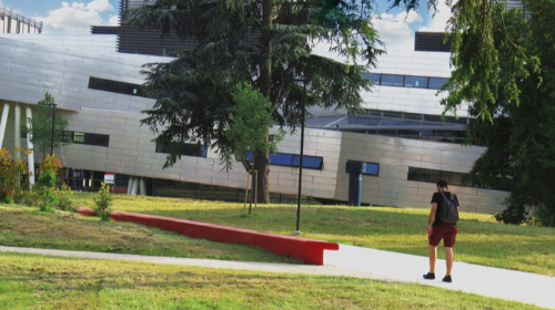 immagine Presentation of the Bachelor's degree in Management and Economics