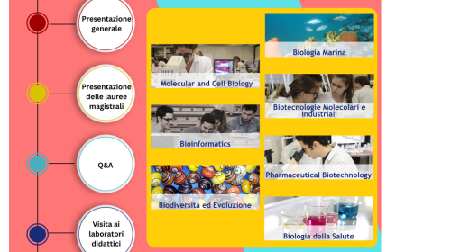 immagine Presentation of Master's degree programmes in the Biological field