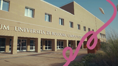 immagine Un Giorno all'Università. Vivi l’esperienza incontrando i Corsi di Laurea dell'ambito Psicologia