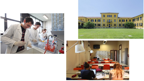 immagine Presentazione del corso di Laurea Magistrale in Scienze e tecnologie alimentari