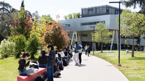immagine Presentazione del corso di Laurea in Lingue e Tecnologie per la Comunicazione Interculturale