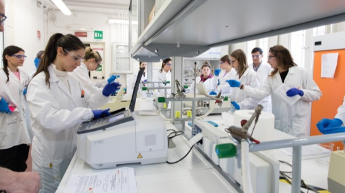 immagine Sede di Imola - Presentazione del corso di Laurea in Scienze farmaceutiche applicate