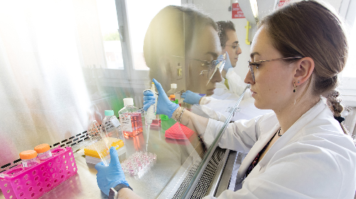immagine Campus di Ravenna - Presentazione dei corsi di Laurea ambito Scienze