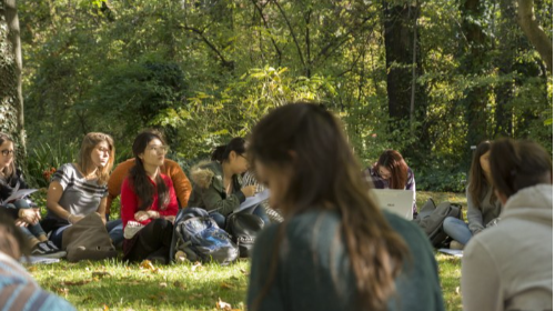 immagine Presentazione dei corsi di Laurea e Laurea Magistrale a ciclo unico del Dipartimento di Scienze dell’educazione e della formazione