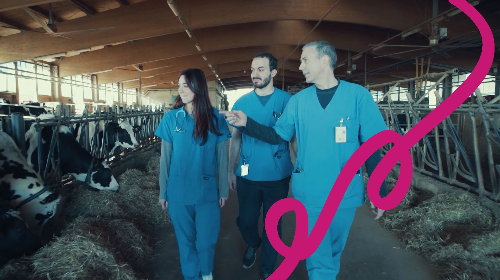 immagine Un Giorno all'Università: lista di attesa per l'ambito Medicina Veterinaria
