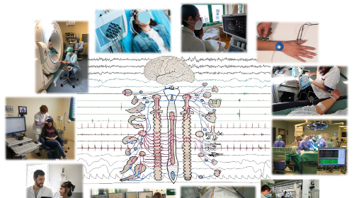 immagine Presentazione del corso di Laurea in Tecniche di Neurofisiopatologia