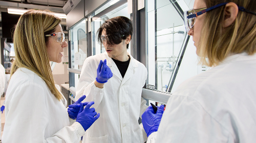 immagine Presentazione del corso di Laurea in Chimica Industriale e del Corso di Laurea a orientamento professionale abilitante Metodologie Chimiche per Prodotti e Processi