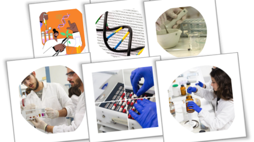 immagine Presentazione dei corsi del Dipartimento di Farmacia e biotecnologie