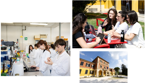 immagine Presentazione del corso di Laurea Magistrale in Scienze e tecnologie alimentari