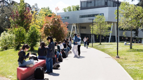 immagine Presentazione dei corsi del Campus di Forlì e del Campus di Cesena - Scienze e tecniche psicologiche