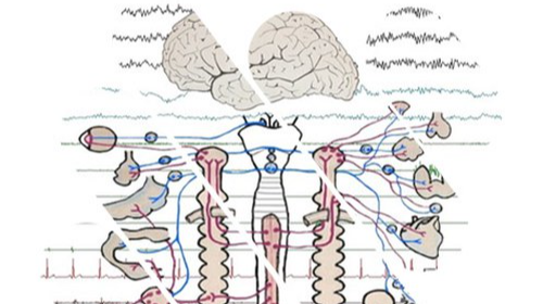 immagine Presentazione del corso di Laurea in Tecniche di neurofisiopatologia