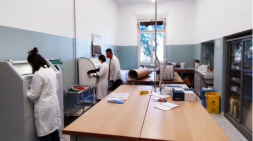 immagine Presentazione del corso di Laurea in Tecniche ortopediche