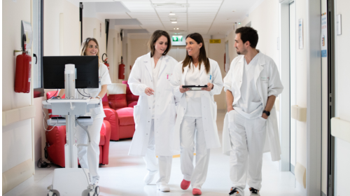 immagine Diventare un professionista sanitario