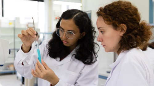 immagine Presentazione dei corsi di Laurea Magistrale del Dipartimento di Chimica