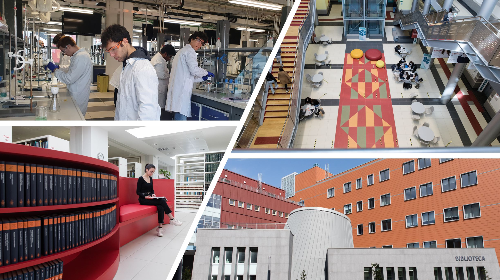 immagine Presentazione del corso di Laurea professionalizzante in Metodologie chimiche per prodotti e processi