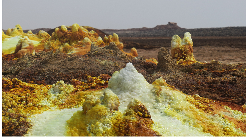 immagine Corso di Laurea in Scienze Naturali