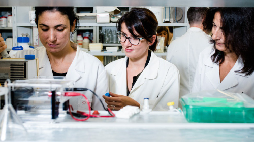 immagine Presentazione del corso di Laurea Magistrale in Scienze e Tecnologie Alimentari