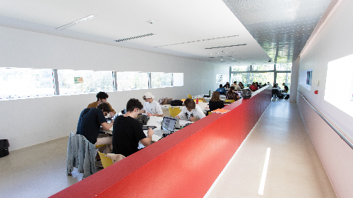 immagine Presentazione dei corsi di Laurea Magistrale del Dipartimento di Scienze Aziendali - Campus di Forlì