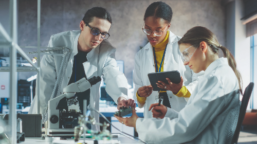 immagine Campus di Ravenna - Presentazione dei corsi ambito Scienze